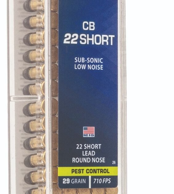 CCI 22CB SHORT 29GR LRN 100RD