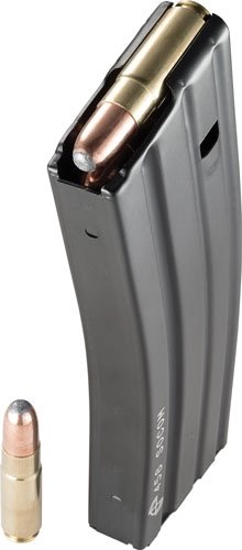 1058041175_w_shells.jpg