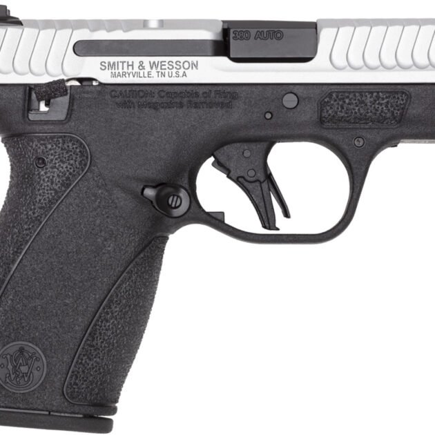 S&W BG2.0 380 12R 2TN TS NS DE