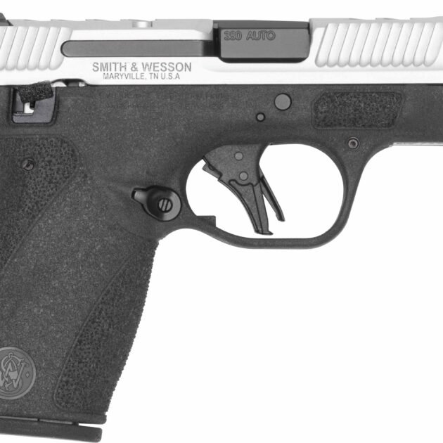 S&W BG2.0PC CC 380 2TNE TS DE