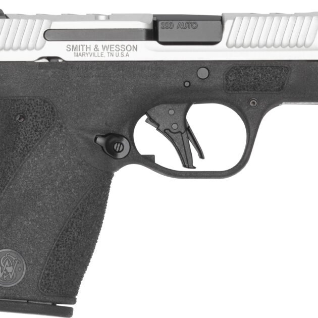 S&W BG2.0PC CC 380 2TNE NT DE