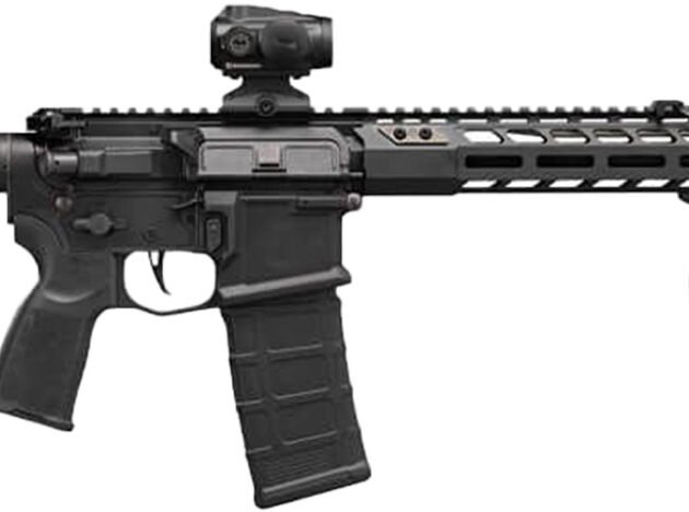 SIG M400 SENTRY RFL 5.56 30RD