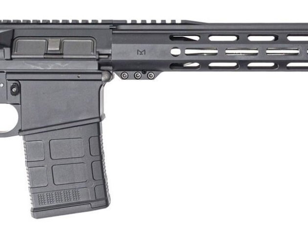 DPM AR10 RFL 308 20RD 18SS MOE