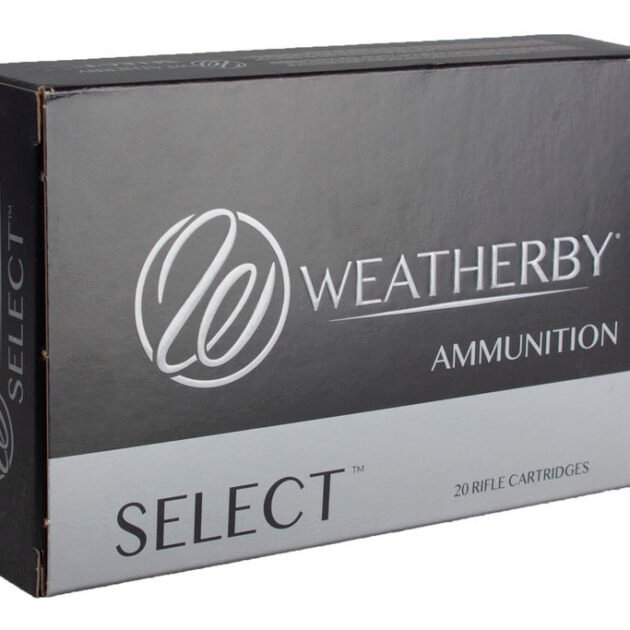 WBY 6.5-300WBY 140GR INT 20RD