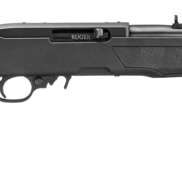 RUG 10/22 22LR 16.4 BLK THREADED 10RD