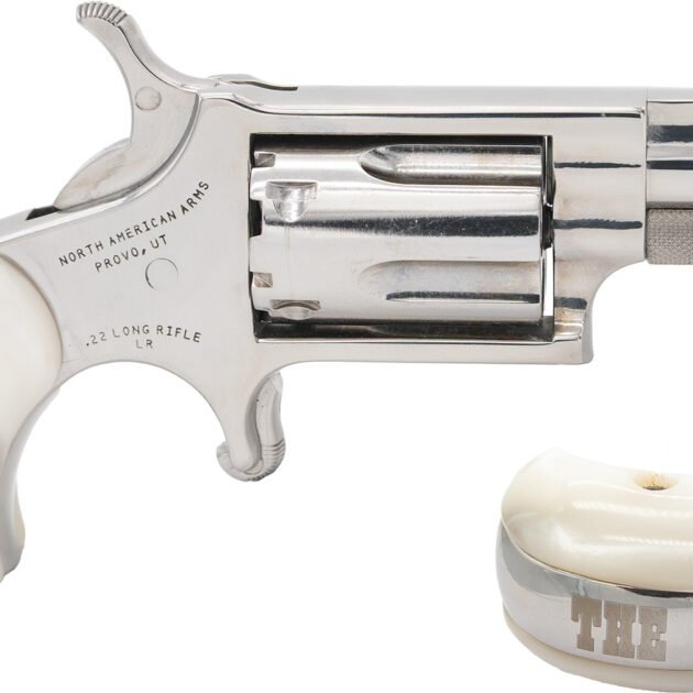 NAM MINI-REV 22LR 1.125SS GOOD