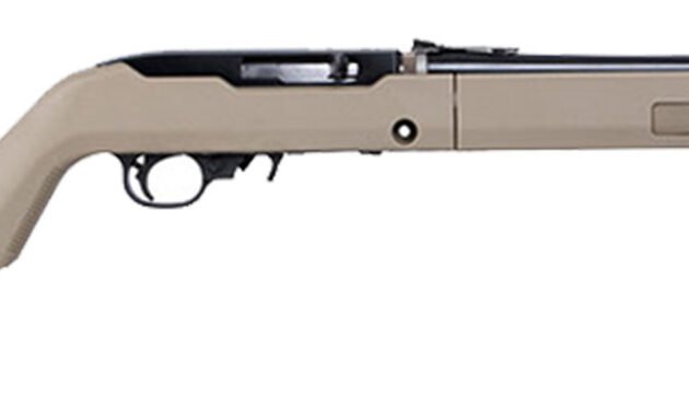 RUG 10/22 TD 22LR TB FDE FO DE