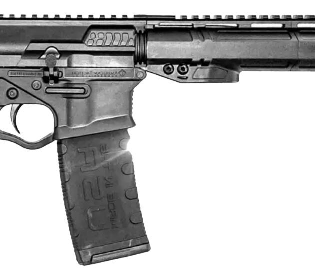 ATI ALPHA MAXX 300BLK 16 MLOK 9 FLIP SIGHTS