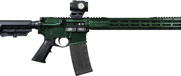 BLACK RAIN SPEC15 5.56 16" - ZEROTECH TRACE 1X25 HUNTER FX
