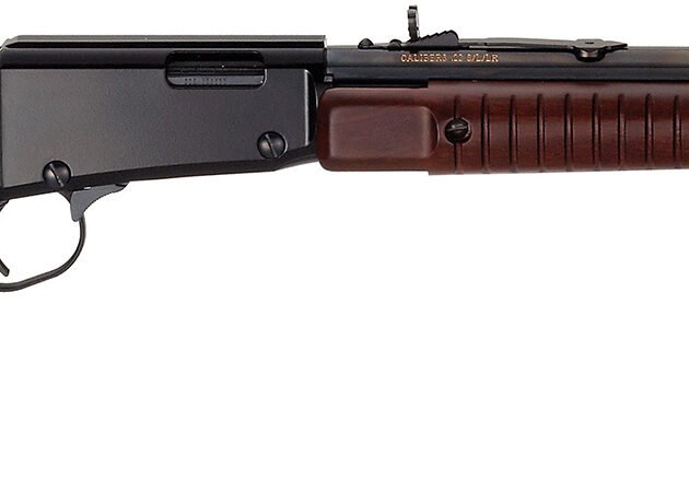 HENRY PUMP 22MAG 20.5 OCTAGON