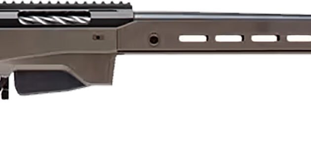 BTA TKA T3X ACE GM 22-250 10BZ