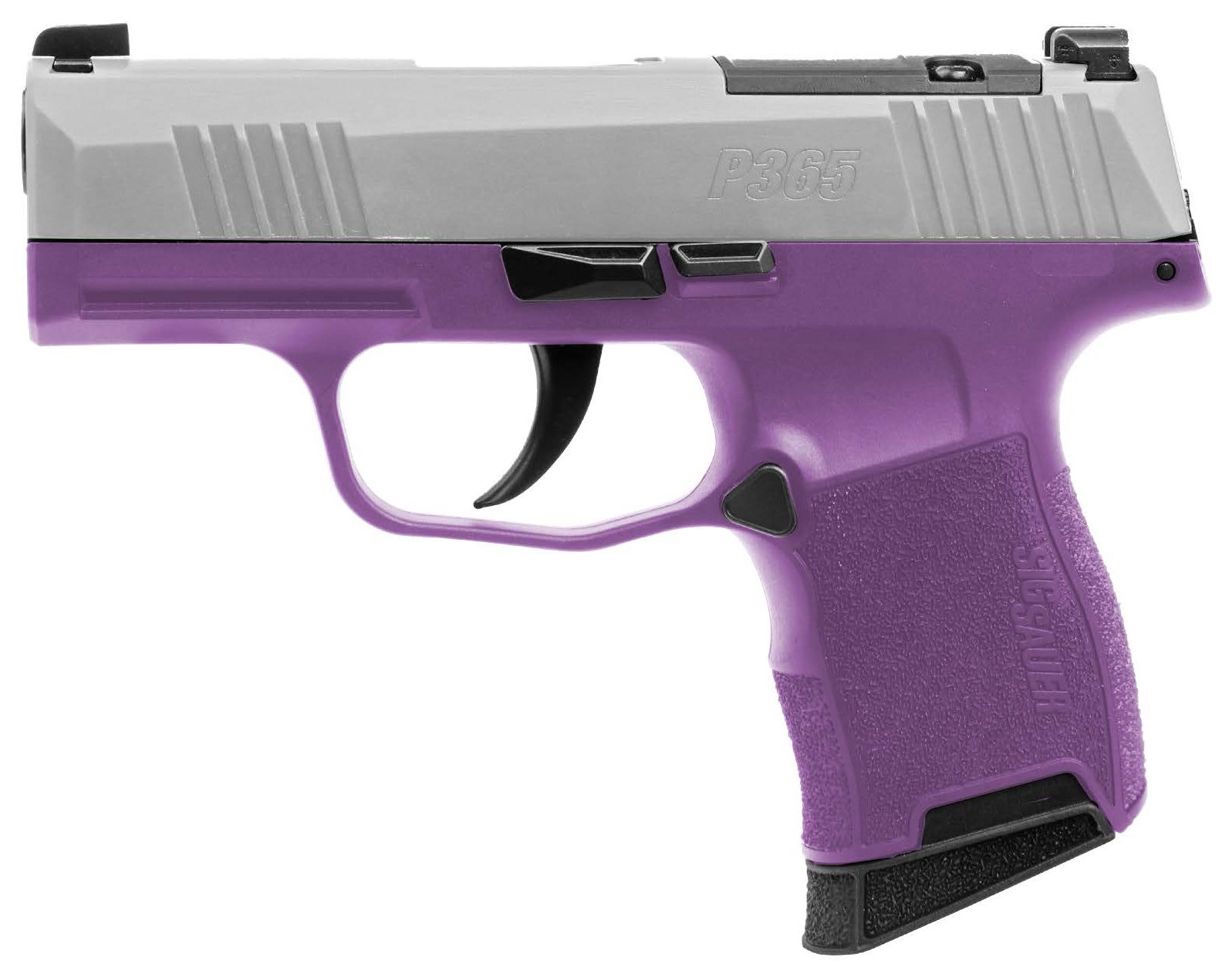 SIG203659TXR3PR.jpg